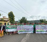 22nd National Paddy Day Celebrated in Karnali Province